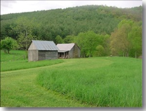 Alleghany County