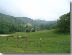 Fender Mountain