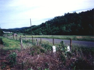 Levi Willey Cemetery