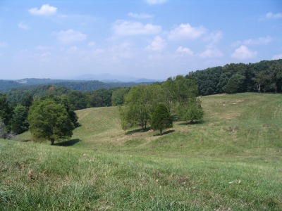 Solomon Jennings Land in Grayson Co., VA
