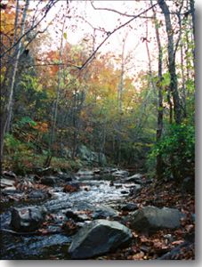 Morgan Creek